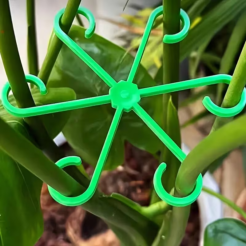 8-Piece Plant Stem Support Set - огляд і ціна Variegated Monstera Node