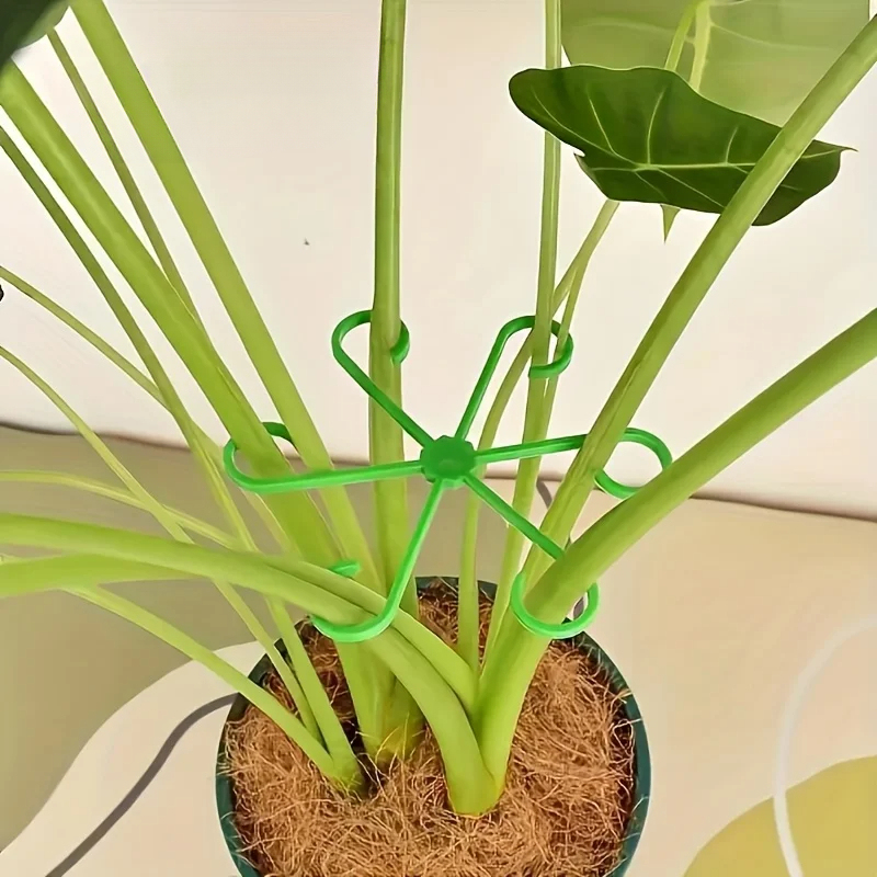 8-Piece Plant Stem Support Set - огляд і ціна Variegated Monstera Node