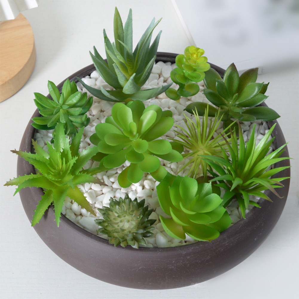 Artificial For Mini Bonsai Suc - огляд і ціна Succulent Arrangement Mini