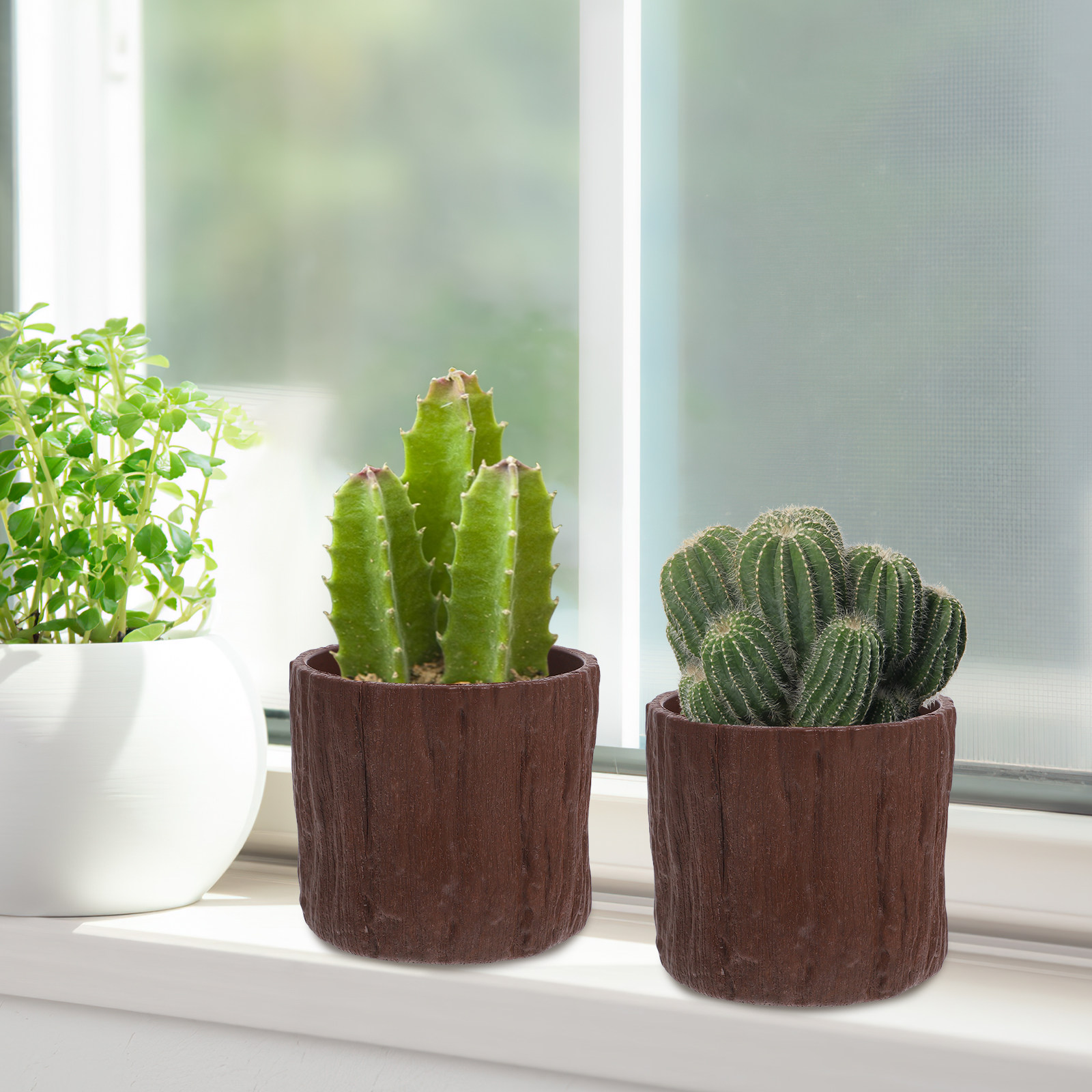 4Pcs Faux Wood Grain Flower Po - огляд і ціна Succulent Arrangement Mini