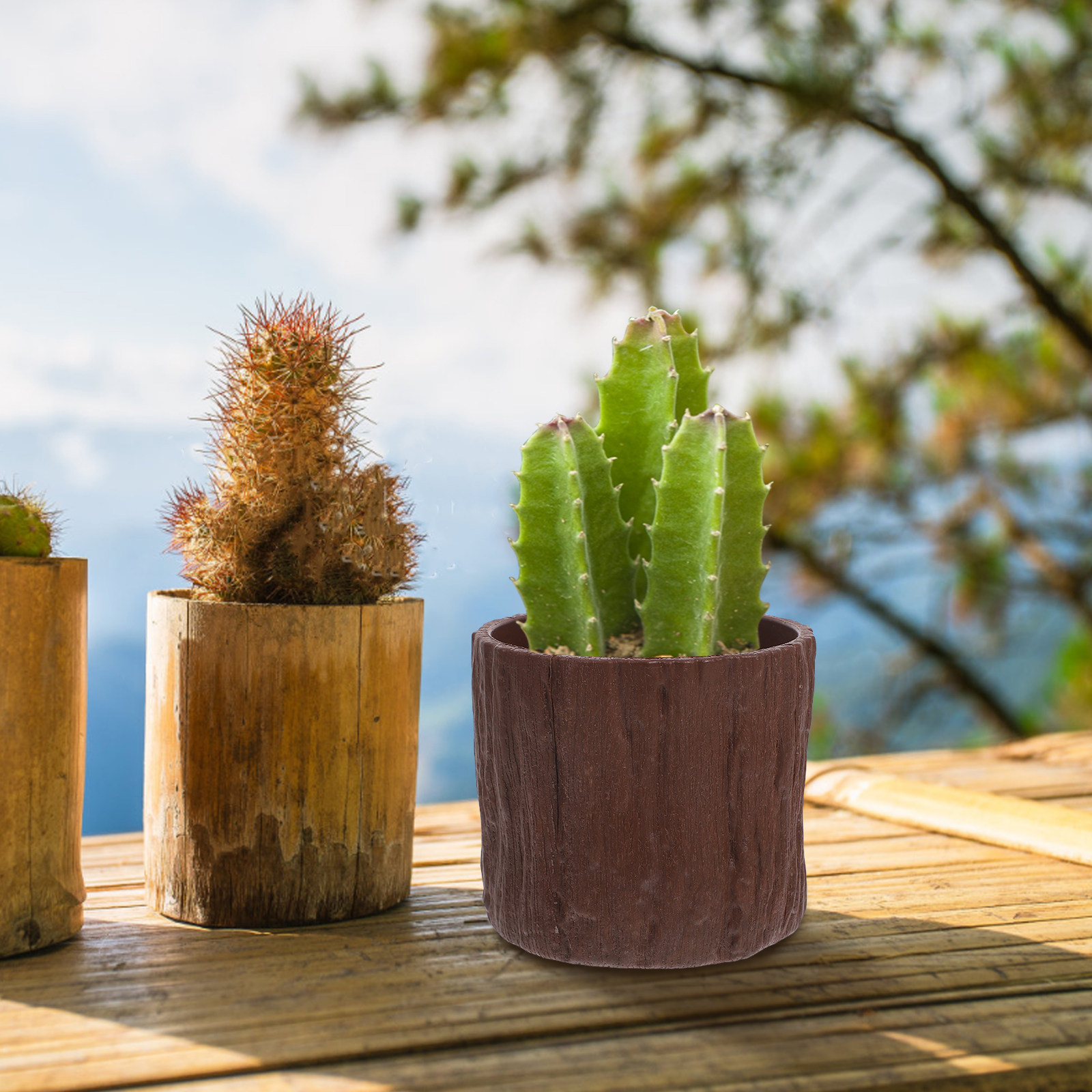 4Pcs Faux Wood Grain Flower Po - огляд і ціна Succulent Arrangement Mini