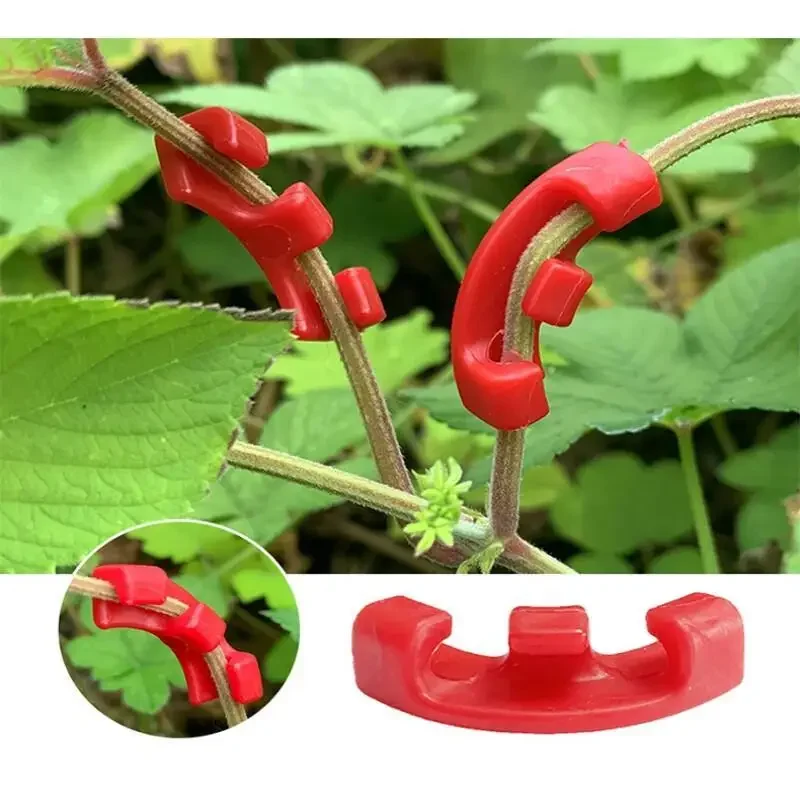 10-100Pcs 90 Degree Plant Bend - огляд і ціна Plant Parent Tools