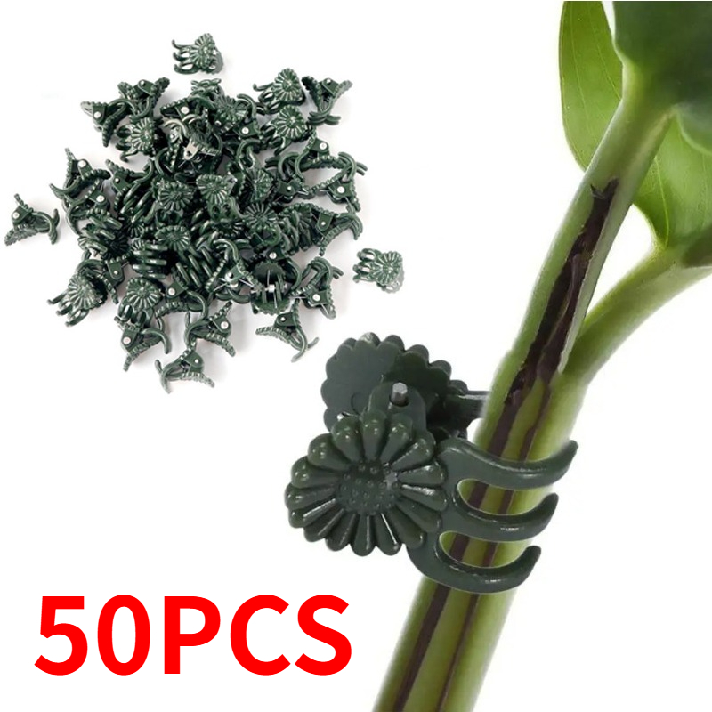 50PCS 5-Claw Dark Green Plant  - огляд і ціна Plant Parent Tools