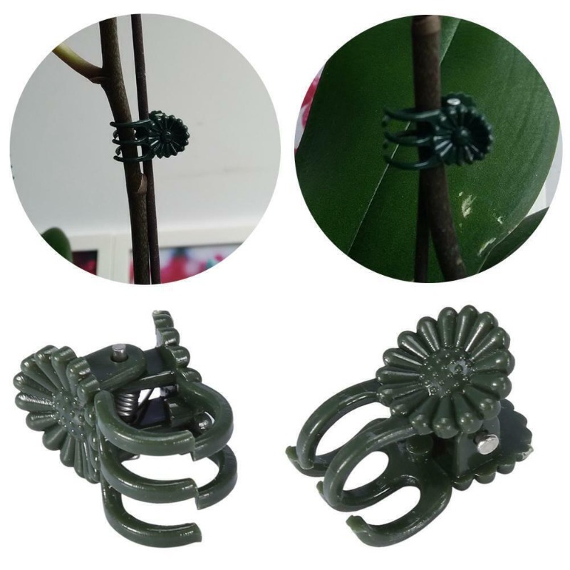 50PCS 5-Claw Dark Green Plant  - огляд і ціна Plant Parent Tools