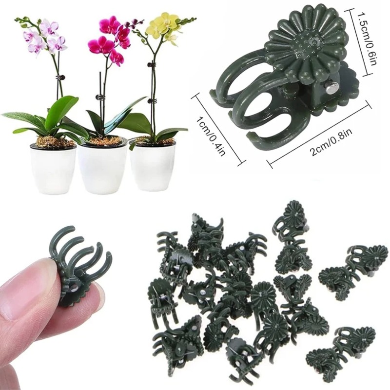 50PCS 5-Claw Dark Green Plant  - огляд і ціна Plant Parent Tools