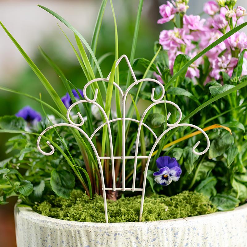 Whimsical Mini Iron FlowerPot  - огляд і ціна Succulent Arrangement Mini