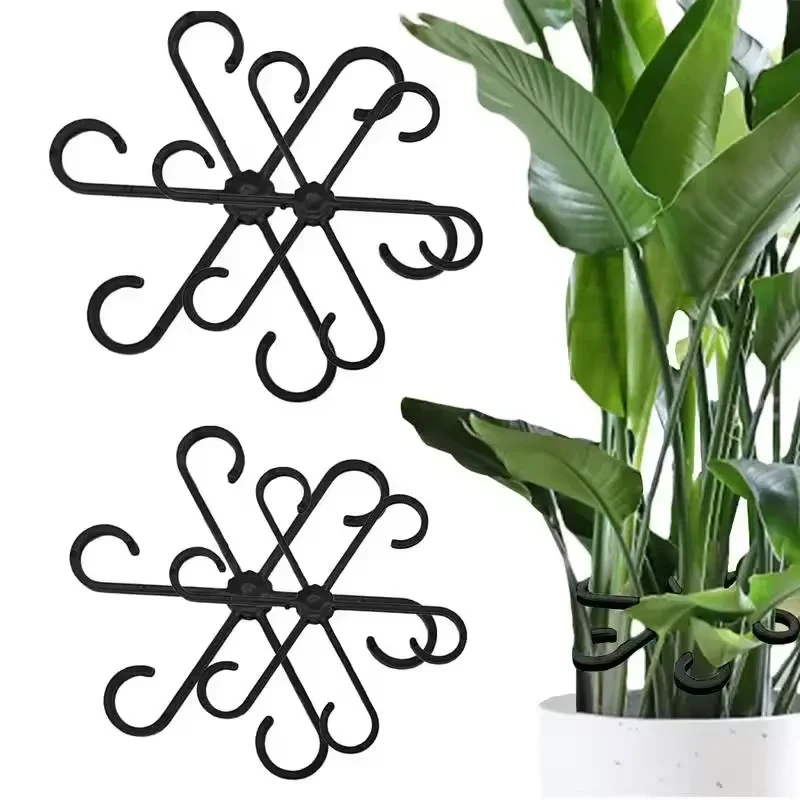 Stem Support Alocasia Monstera - огляд і ціна Variegated Monstera Node