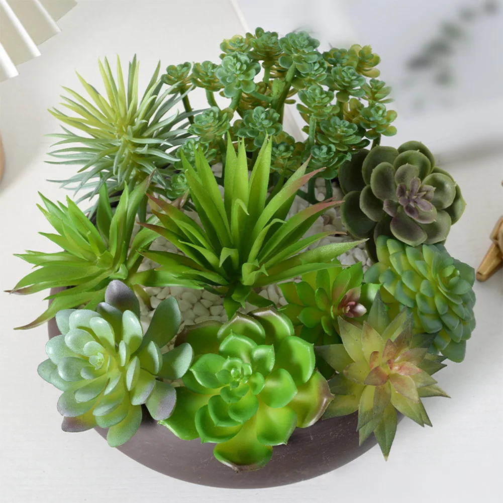 Low Upkeep For Mini Bonsai Suc - огляд і ціна Succulent Arrangement Mini
