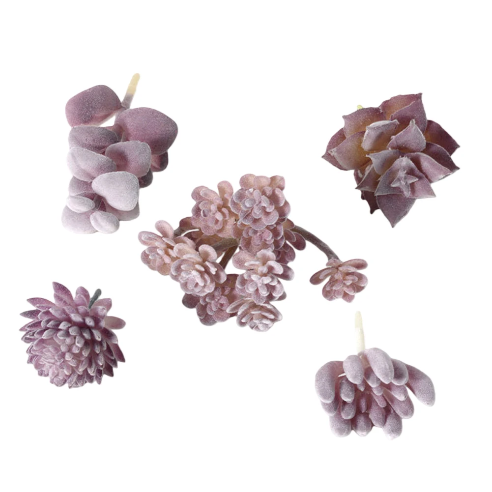 Low Upkeep For Mini Bonsai Suc - огляд і ціна Succulent Arrangement Mini