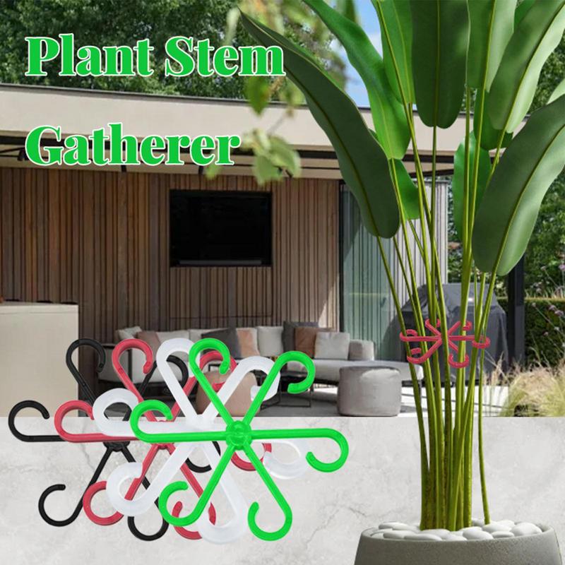 4pcs Climbing Plants Support C - огляд і ціна Variegated Monstera Node