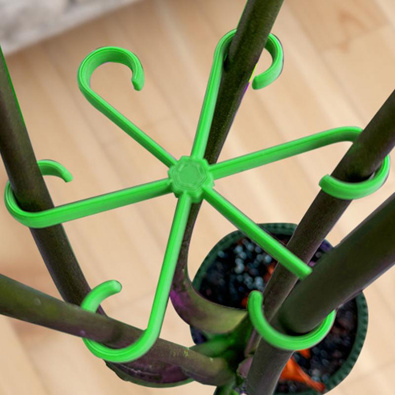 4pcs Climbing Plants Support C - огляд і ціна Variegated Monstera Node