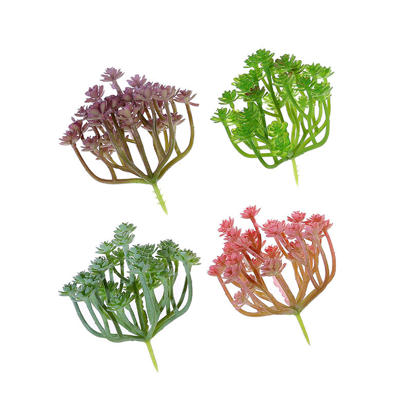 Wusmart Large Xian Ren Ke Arti - огляд і ціна Succulent Arrangement Mini