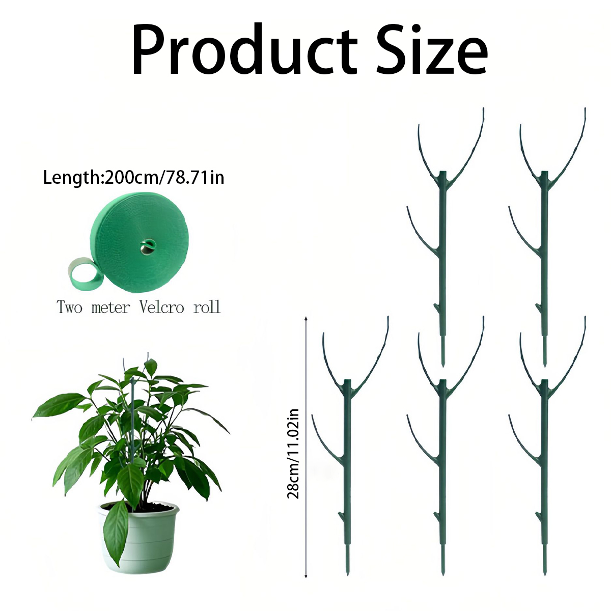 6 PCS Monstera Plant Support S - огляд і ціна Variegated Monstera Node