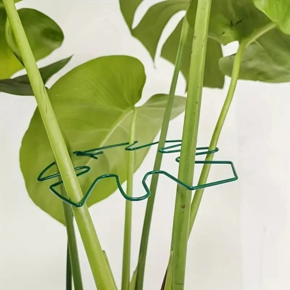 1Pc Large Plant Stand Indoor P - огляд і ціна Variegated Monstera Node