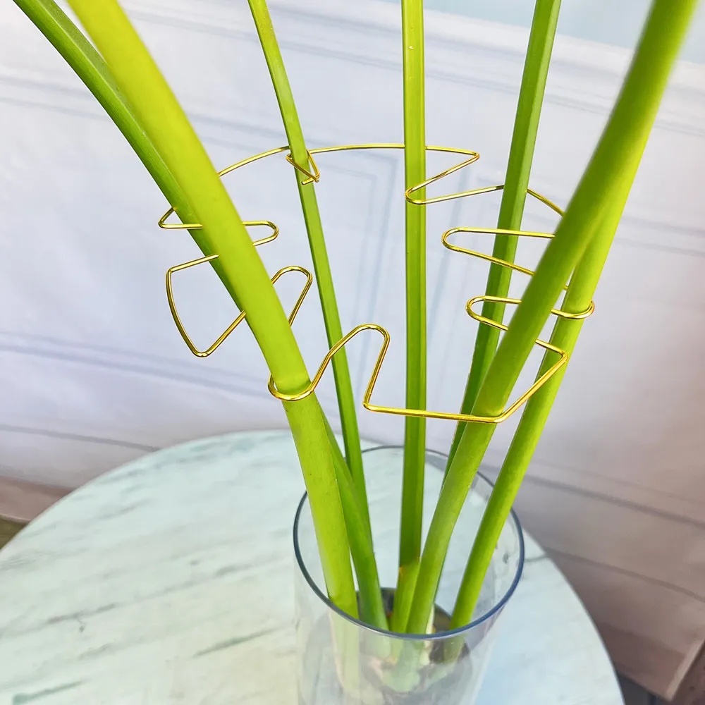 1Pc Large Plant Stand Indoor P - огляд і ціна Variegated Monstera Node