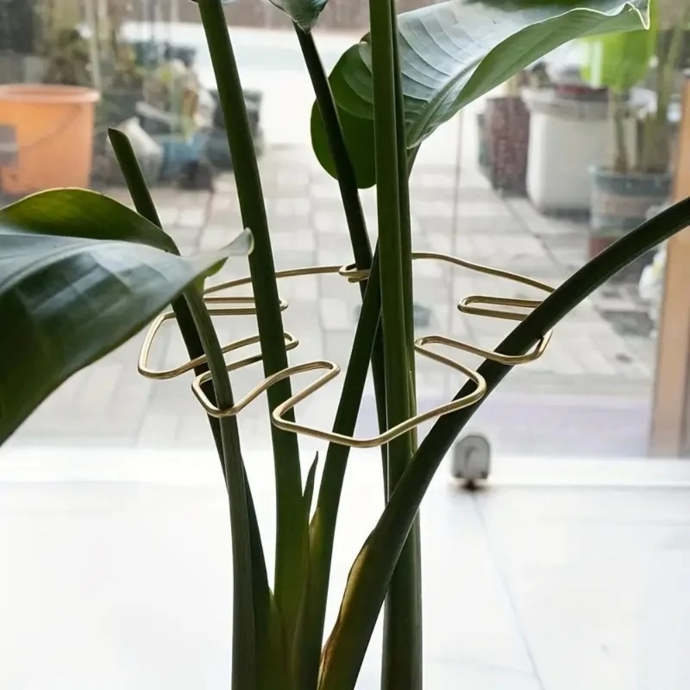 1Pc Large Plant Stand Indoor P - огляд і ціна Variegated Monstera Node
