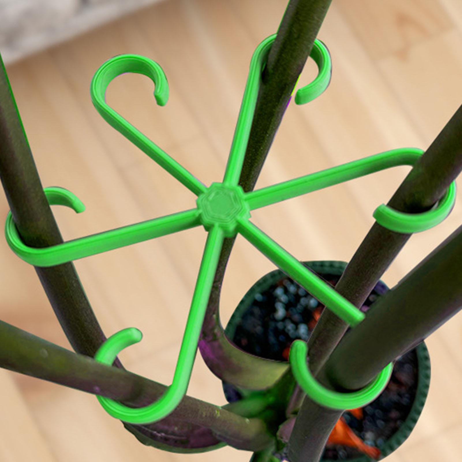 4Pcs Plants Stem Support Clips - огляд і ціна Variegated Monstera Node