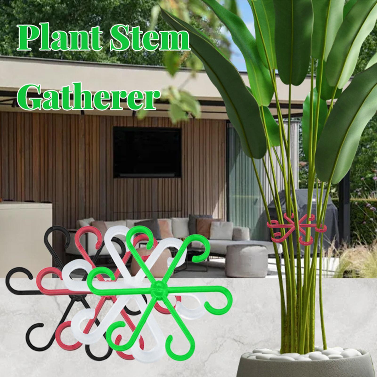 4Pcs Plants Stem Support Clips - огляд і ціна Variegated Monstera Node