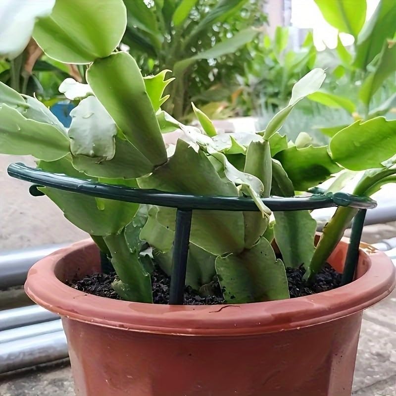 30-1PCS Plastic Plant Support  - огляд і ціна Plant Parent Tools