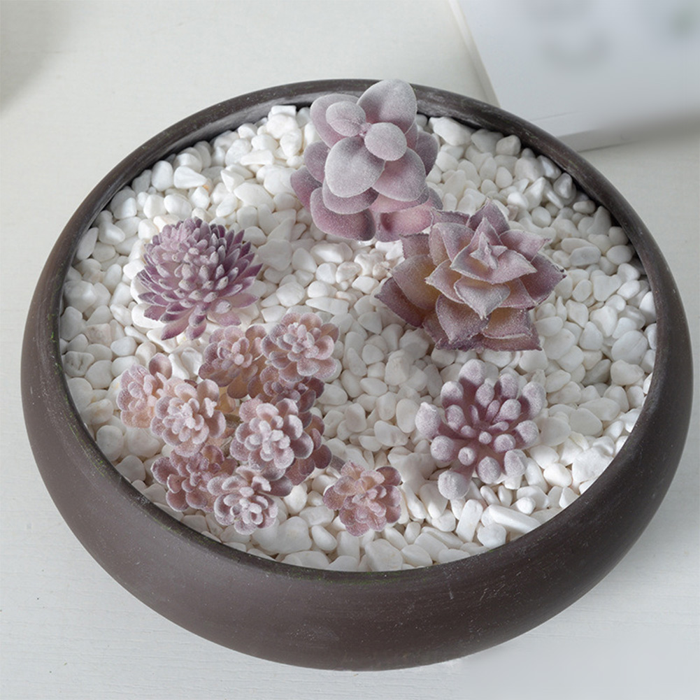 Photography Prop Friendly For  - огляд і ціна Succulent Arrangement Mini