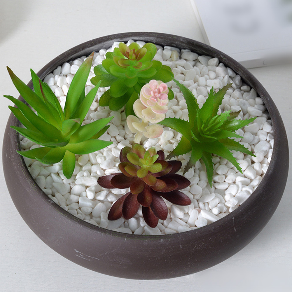 Photography Prop Friendly For  - огляд і ціна Succulent Arrangement Mini